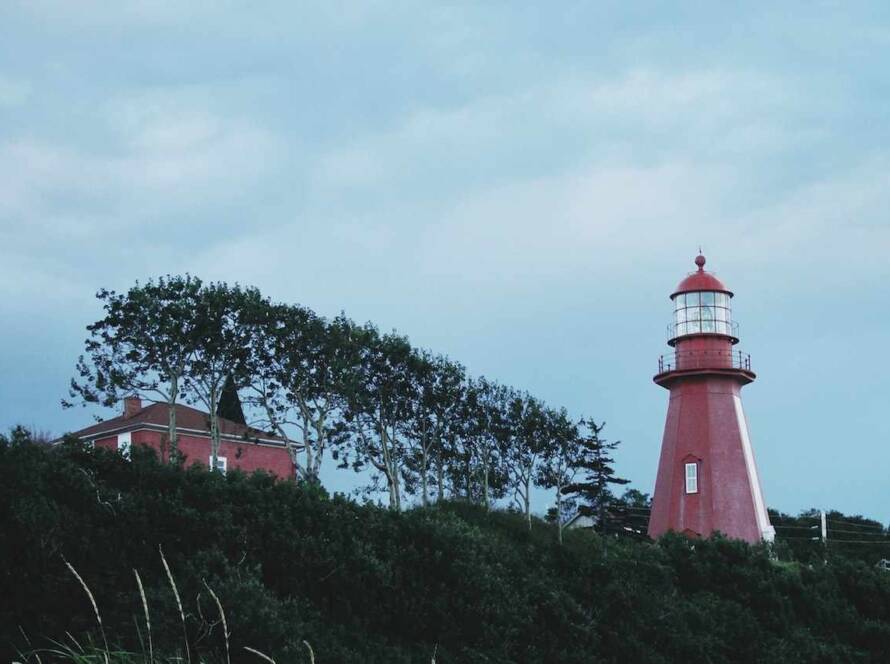 100 Candidates Invited in Newfoundland and Labrador's Latest PNP Draw