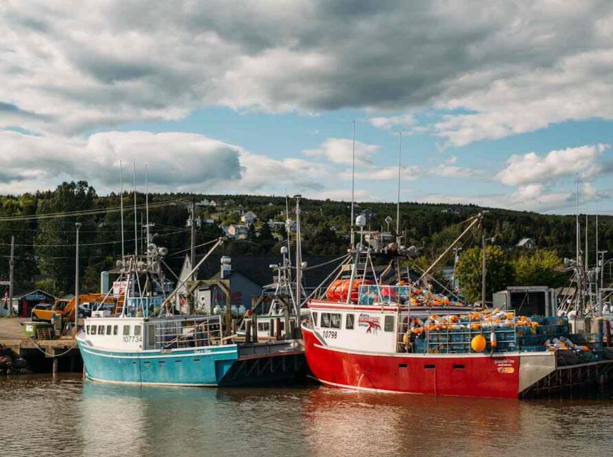 New Brunswick Boosts Support for Atlantic Immigration Program Participants