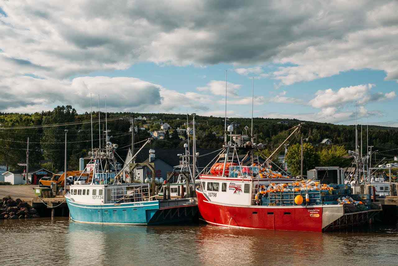 New Brunswick Boosts Support for Atlantic Immigration Program Participants