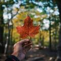 PEI Invites 159 Candidates for Canadian PR Pathway