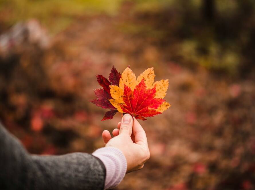 Arab Canadians: Growing, Diverse, and Strong Communities
