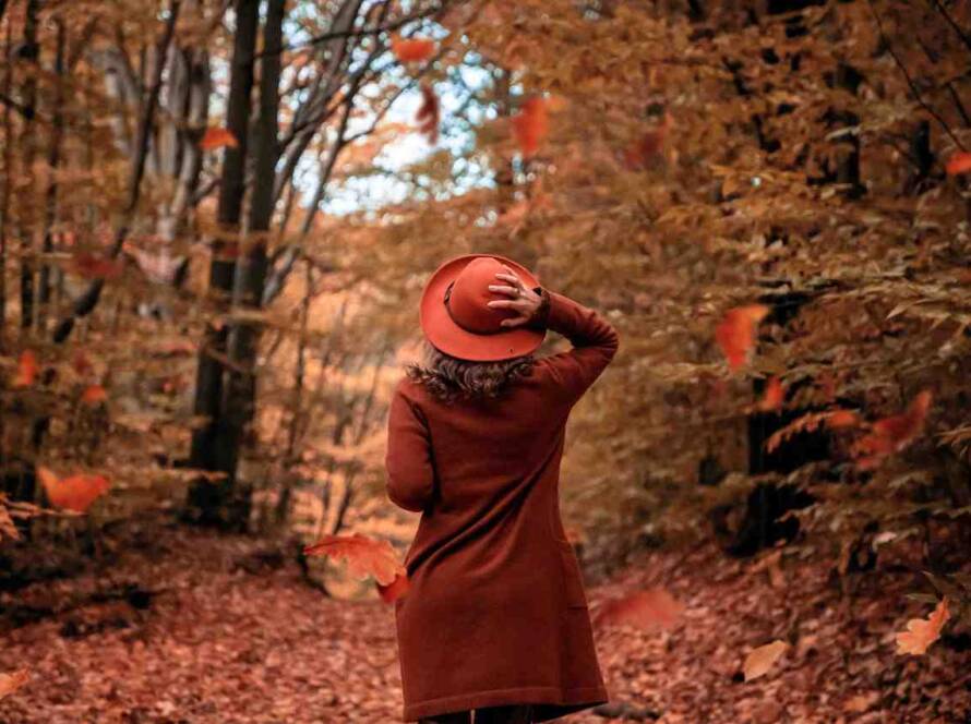 [Canada's Latest Express Entry Draw Invites 777 PNP Candidates]