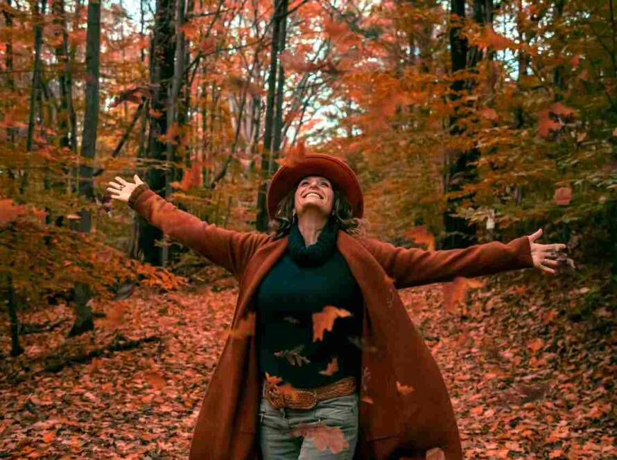 Express Entry Draw #377: 714 PNP Candidates Invited