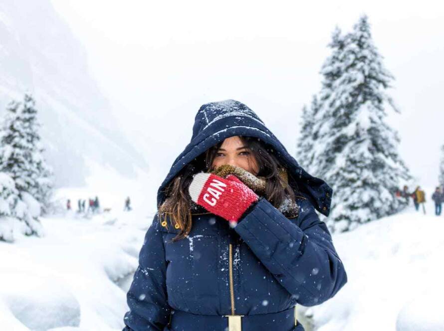 Understanding Canada's Provincial Nominee Program: A Detailed Guide