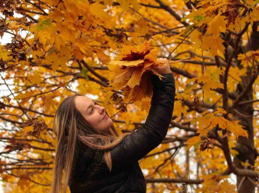 Manitoba Selects 184 Candidates in Latest Strategic Recruitment Draw