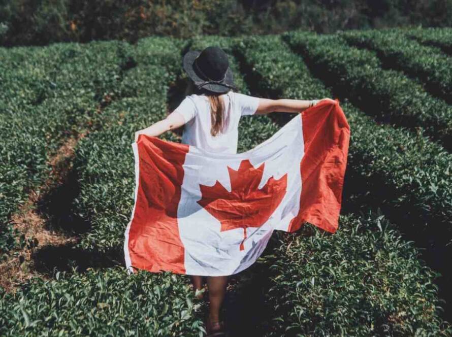 Study Finds Increased Census Undercoverage of Non-Permanent Residents in Canada