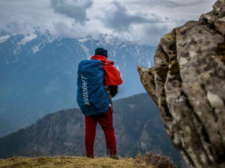 Tim Hortons Advocates for Increased Foreign Worker Limit