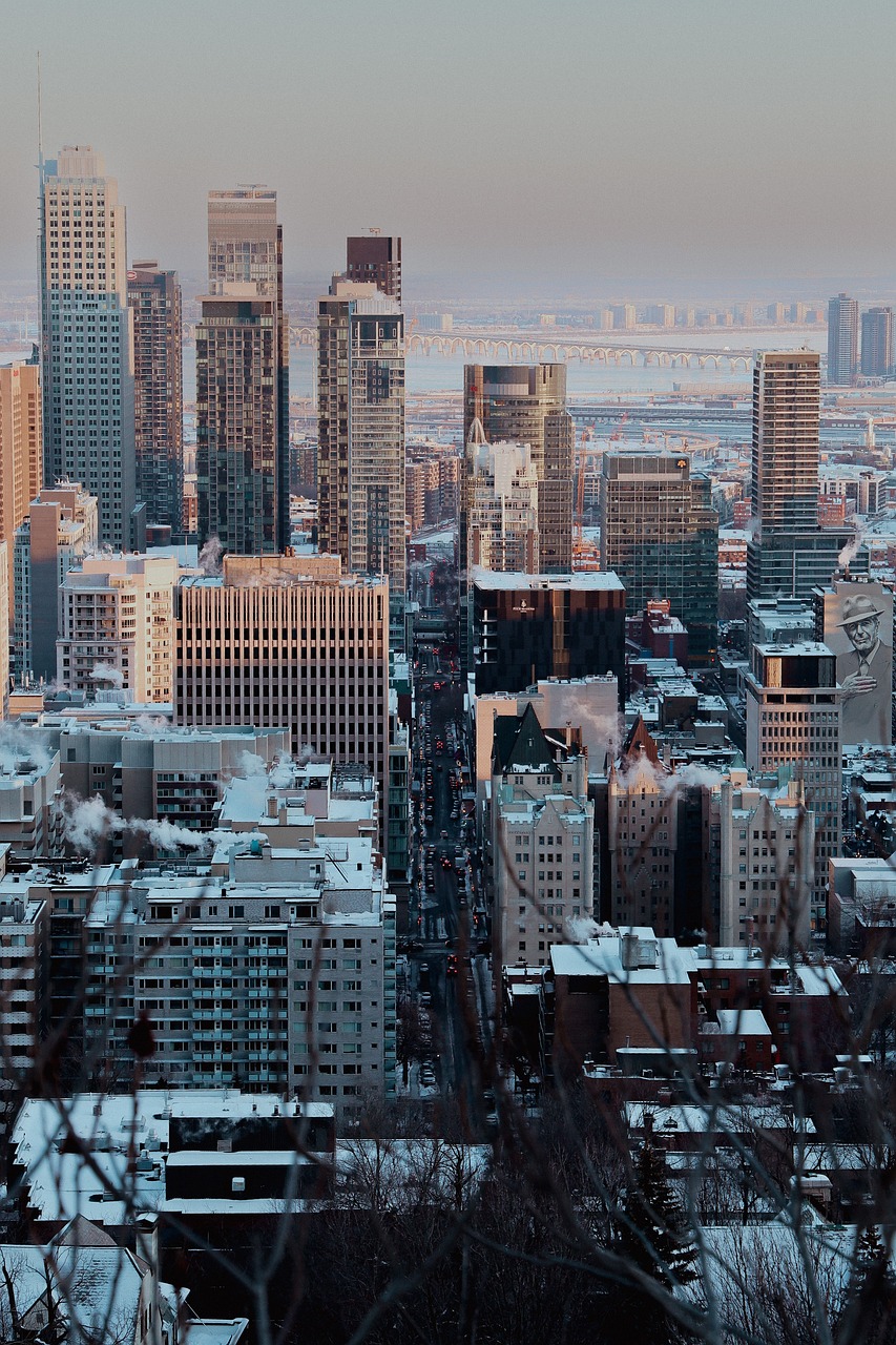 Imported Article – 2025-12-15 23:11:30