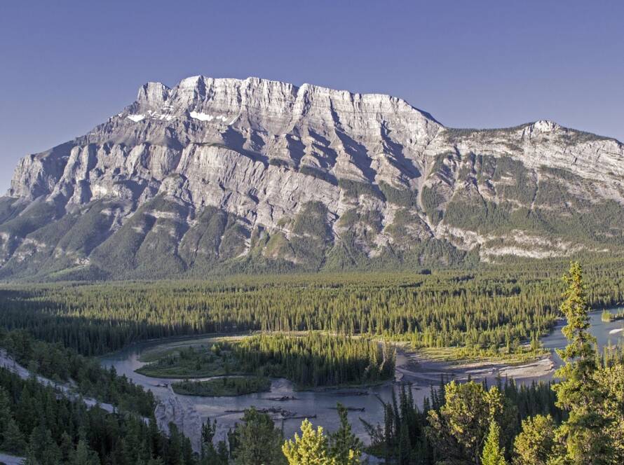 Imported Article – 2025-12-16 23:13:46