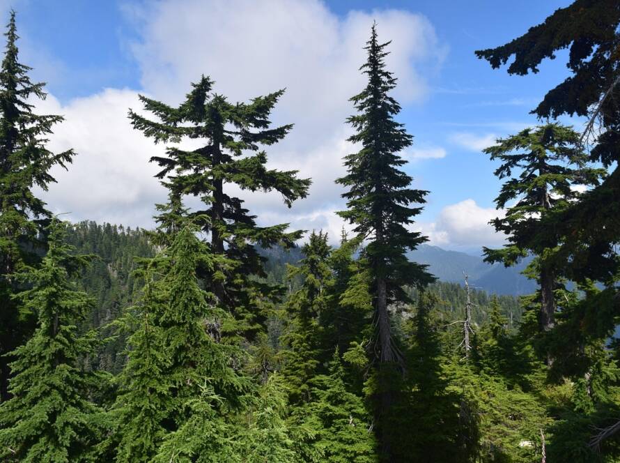 Manitoba PNP Draw #258 Invites Skilled Workers Through Expression of Interest