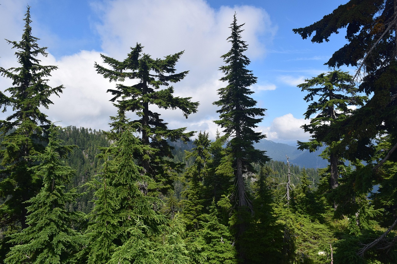 Manitoba PNP Draw #258 Invites Skilled Workers Through Expression of Interest