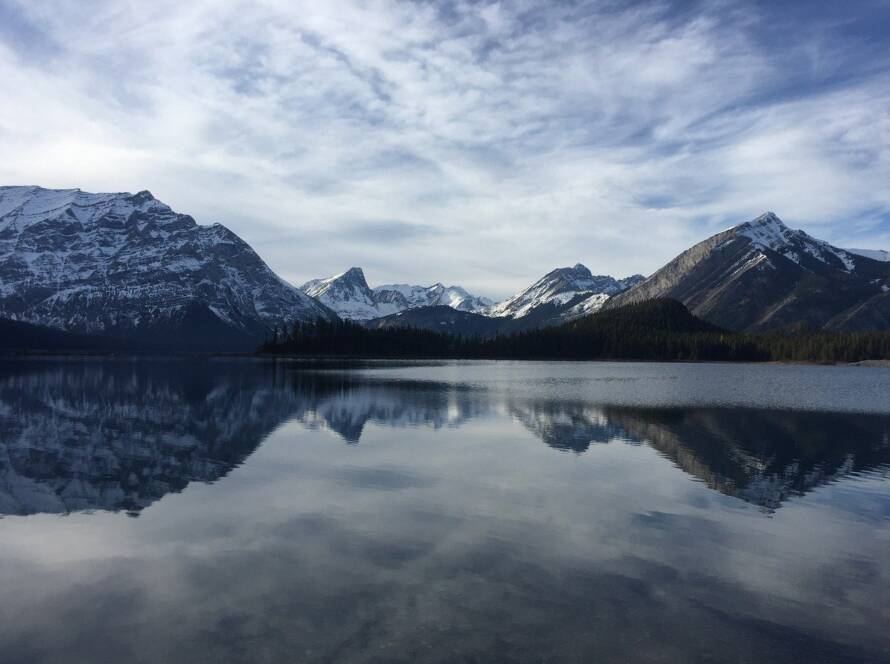 Ontario Sends 916 Invitations in Employer Job Offer Draws on December 11, 2025