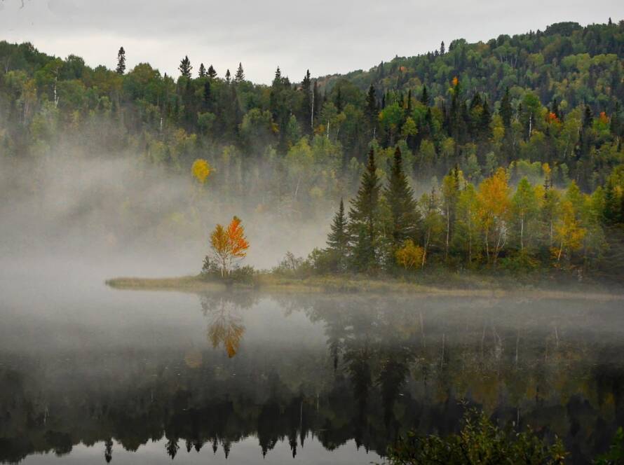 Prince Edward Island PNP: Latest Draw Invites 190 Candidates