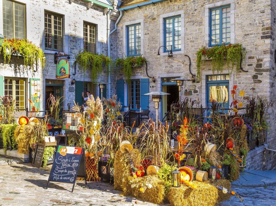 What Are the Odds of Getting an IEC Work Permit This Year?