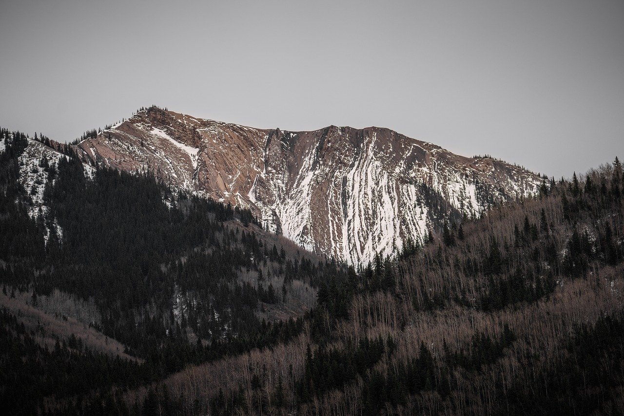 Post Graduation Work Permit (PGWP) Program Delivery Update 2025 For International Graduates