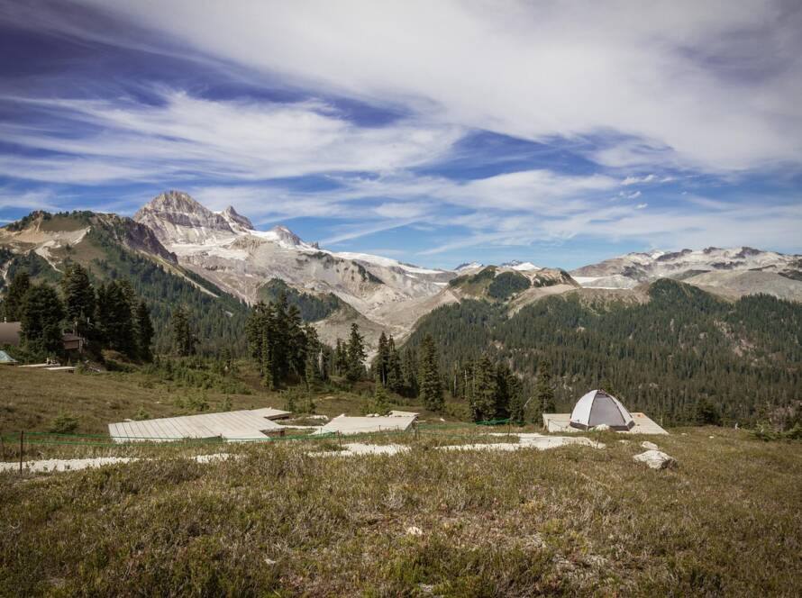 Canada's Game-Changing Immigration Strategy: Fast-Tracking H