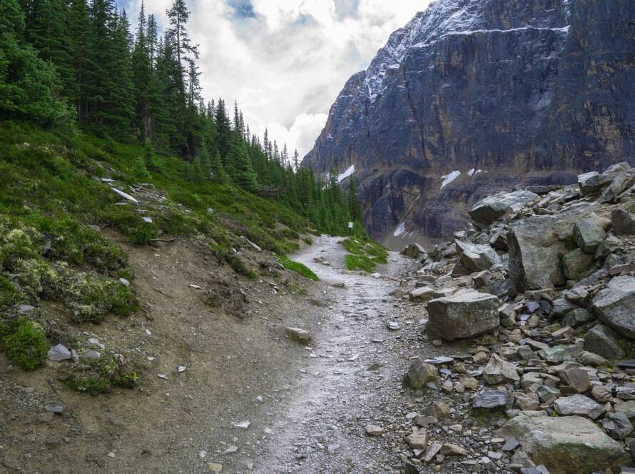 Manitoba Draw Opens Doors for Skilled Workers