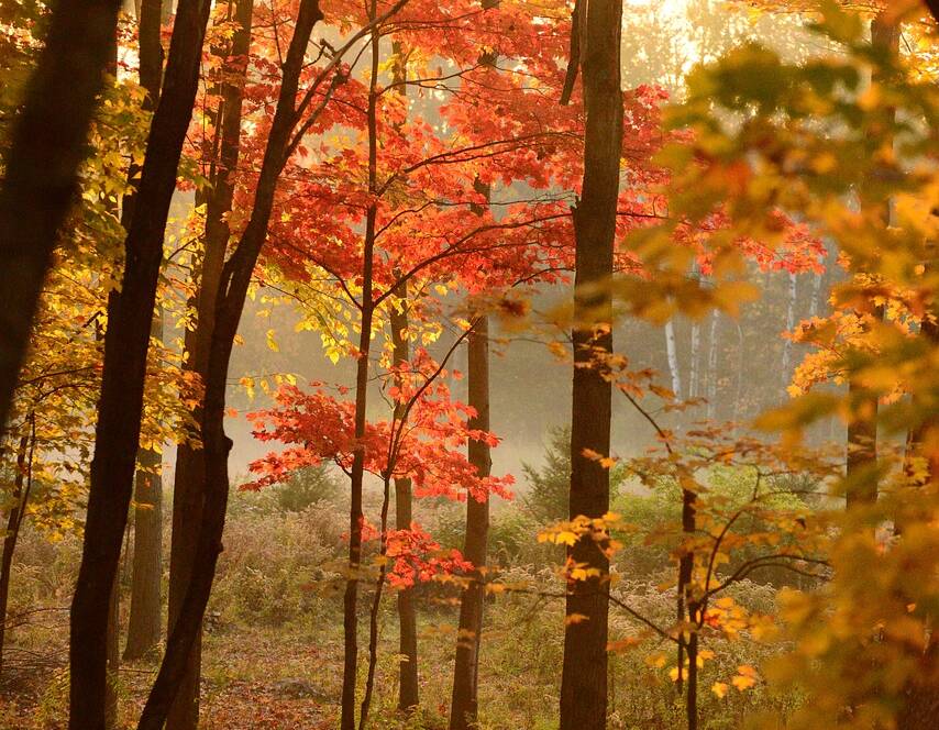 Who Successfully Obtained Permanent Residence Through Express Entry in 2025?